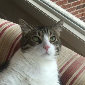 Meet your Posher, Susan